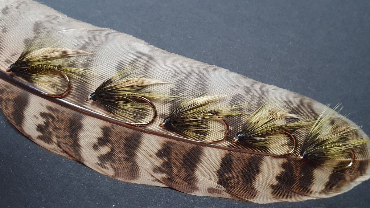GayleMarsh14's tweet photo. It's been a while since I wrapped some fur and feather on a hook. That tingle of excitement has been building so here are a few that might tempt a wild brown trout next season. Happy New Year to all my fishing friends.
#flytying
#flyfishing
#sharingflieswithastranger https://t.co/jFbYhea1uf