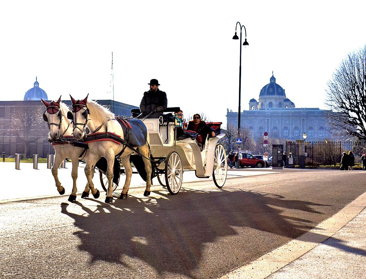 BenSostenuto's tweet photo. Good afternoon from Vienna ☕️ 🎶 🎊
Wishing everyone a happy new year 2023! Stay healthy! 🙂🙌🏼
#OldVienna #FirstDistrict #Ringstraße #WinterInVienna #HappyNewYear #VPO https://t.co/n25PwzfNrm