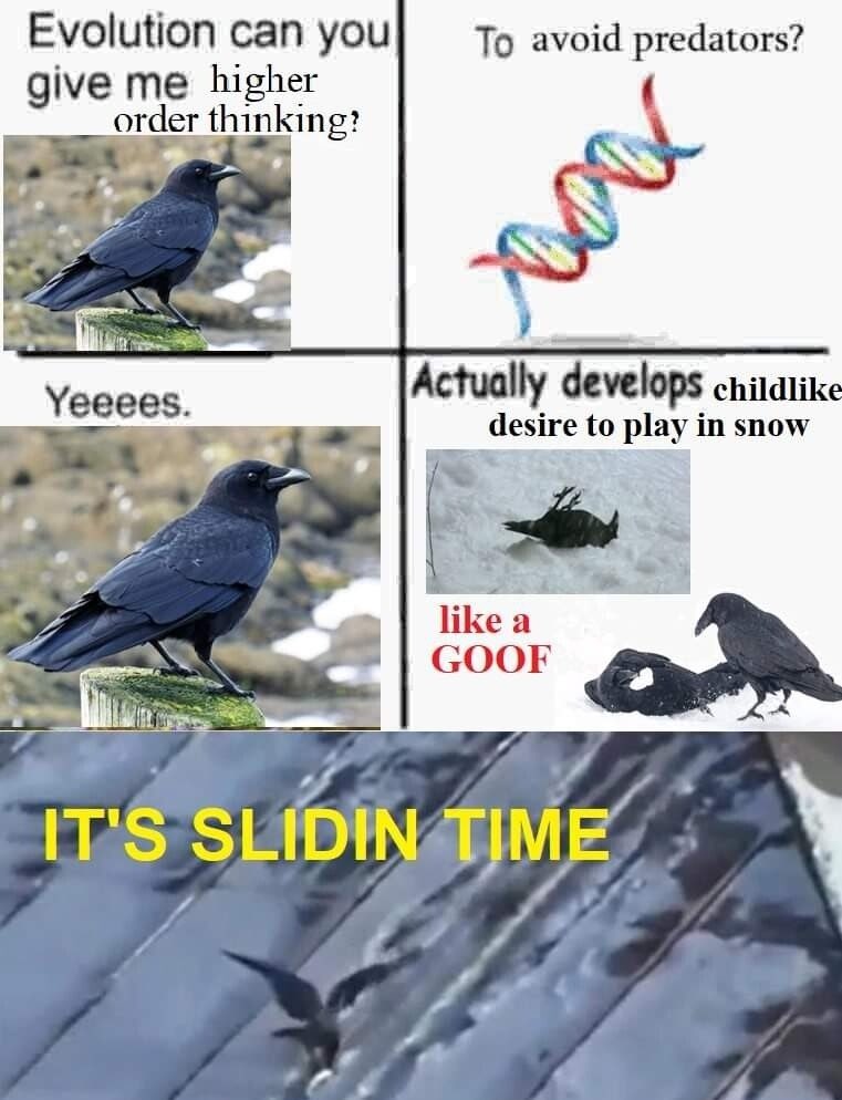 <a href="/DudespostingWs/">Dudes Posting Their W’s</a>