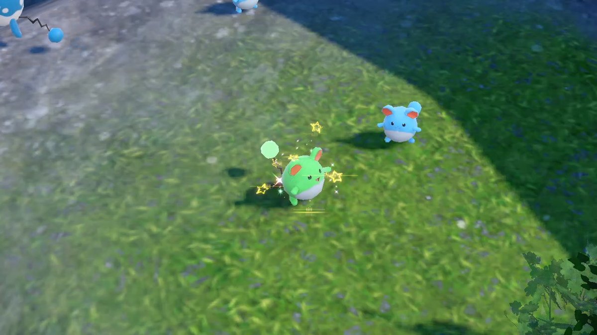 ThatFoxieLife's tweet photo. #PokemonScarletViolet #NintendoSwitch https://t.co/cdWJ6BTV8w