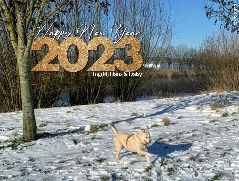 KidsClubEvents's tweet photo. Iedereen een schitterend, liefdevol en zorgeloos 2023..!
Bonne Année, Feliz Año Nuevo, Frohes Neues Jahr, Buon Anno, Feliz Ano Novo... 🎉🍾🍸🍷🎼🥂💖 https://t.co/aJVCgM9492