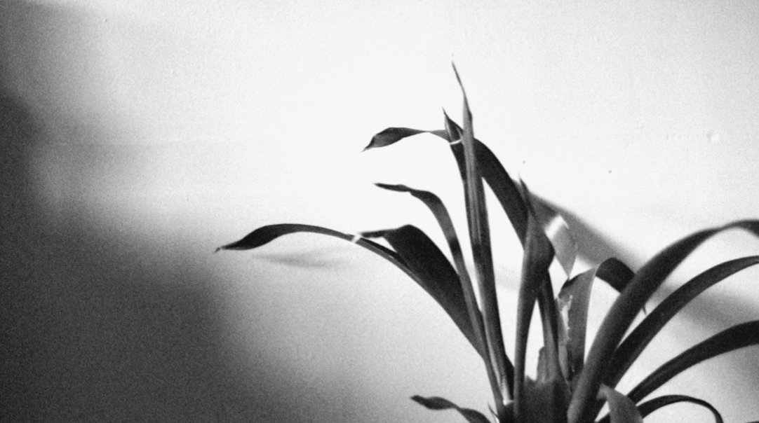 KatiegONeill's tweet image. Greeting 2023 with a new release: 

bit.ly/KONDream

Written, recorded, and produced by Katie Gerardine O'Neill.
Background noise bed by @AlienSheBand .
Cello by @eimear_cello , flute by @danwalshdrums .
Mastered by Rupert Clervaux.

#NewIrishMusic #NewMusic #Tape