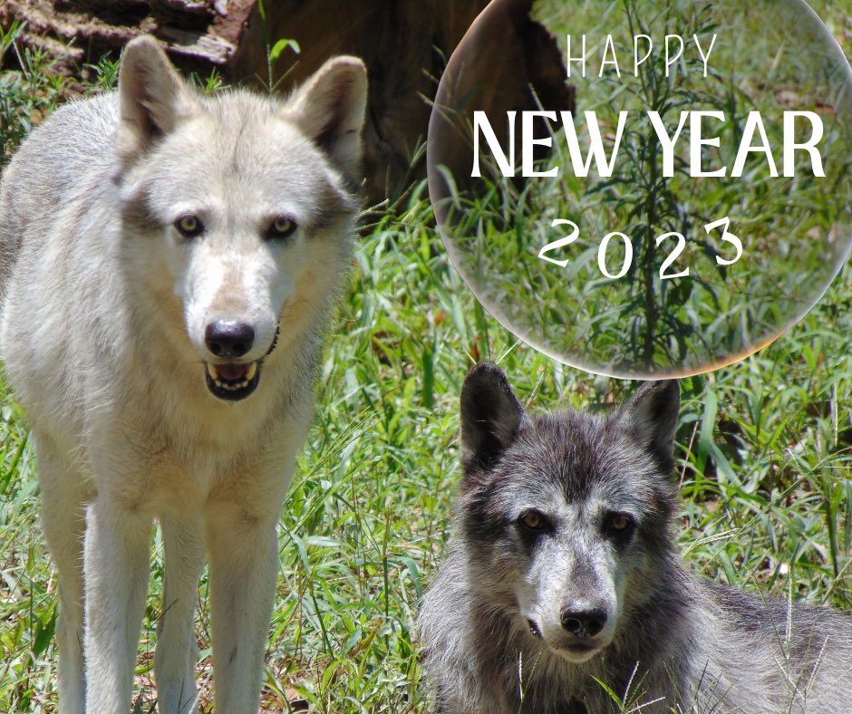Happy New Year everyone!  We look forward to seeing you in 2023!