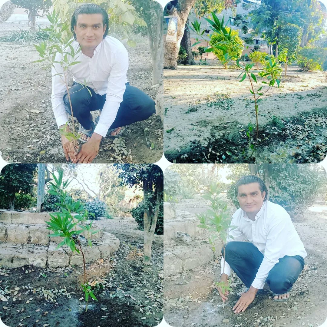 Mahendar_Parkas's tweet photo. A year ago I promised with myself that at least one plant I will plants every month from my salary But I failed to fullfil the promised due to laziness
I hope I will be Carry on my promise from starting of new year. #PlantForPeace #MSDOSINDHPlantDrive #HappyNewYear 🌴🌳🌿🙏 https://t.co/DcVGH3PB14