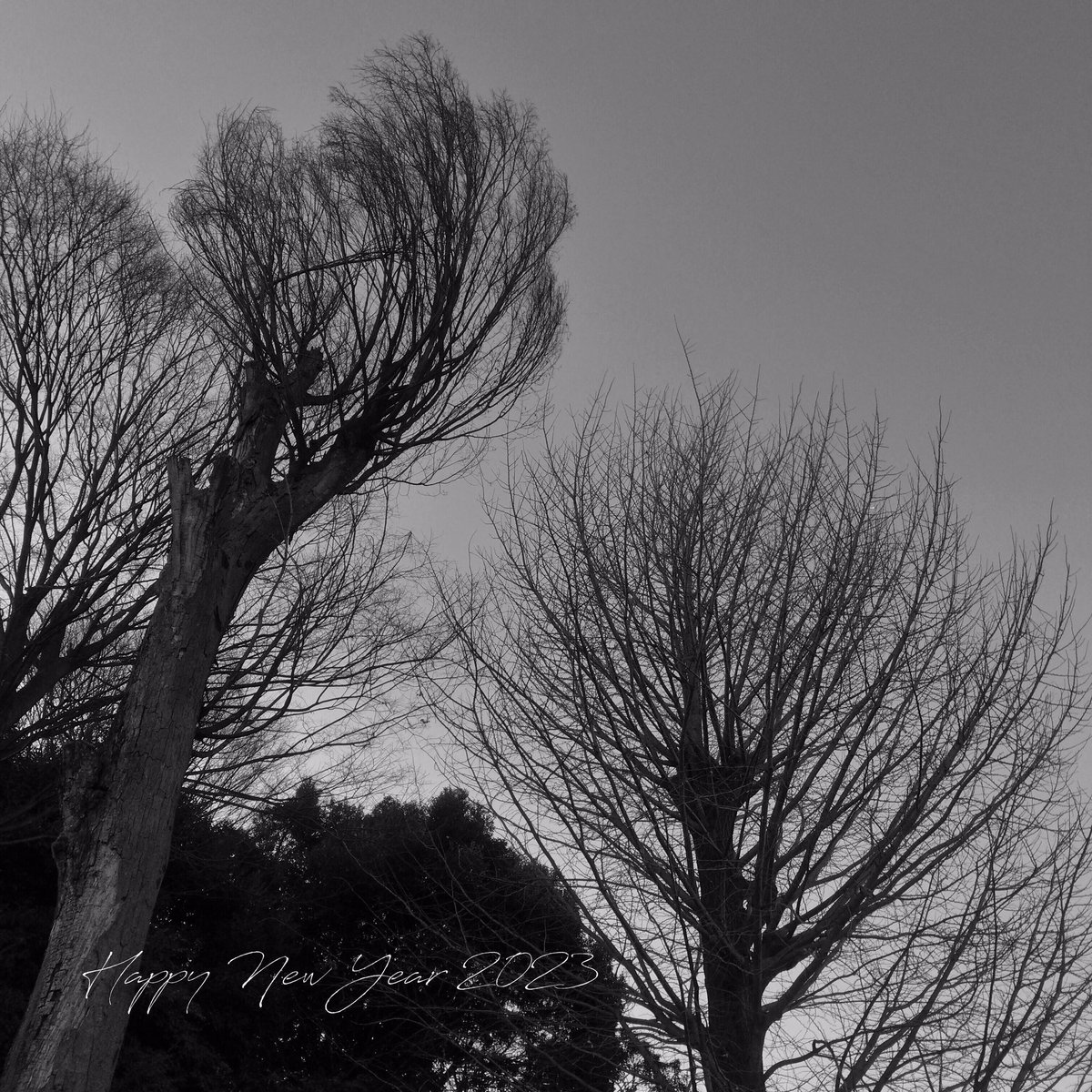 新年あけましておめでとうございます。

旧年中はお世話になり誠にありがとうございました。
本年もまた新たな出会いがたくさんありますように。そして穏やかな日々を過ごせますように。

本年もどうぞよろしくお願いいたします。

2023 元旦
ITOWOKASHI 西田　京子