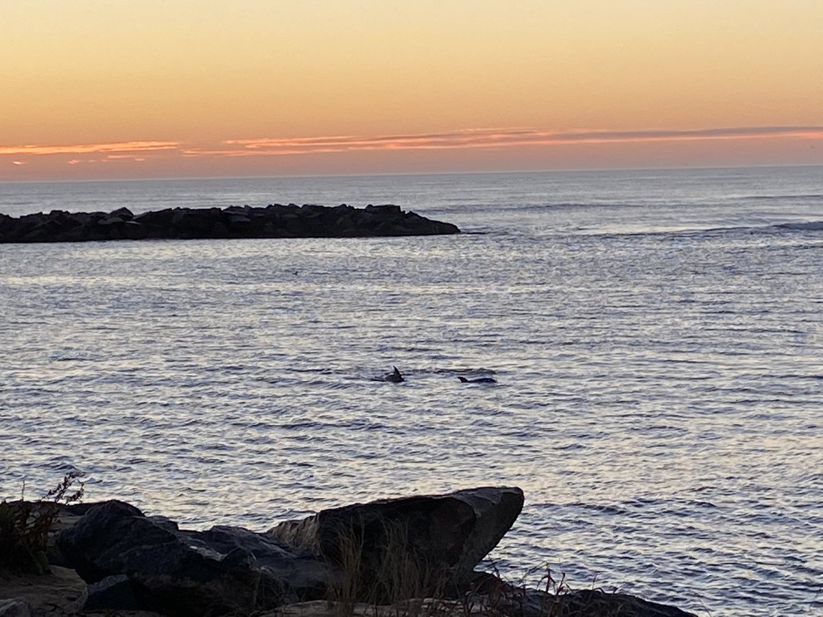 Robin Latchford tweet media