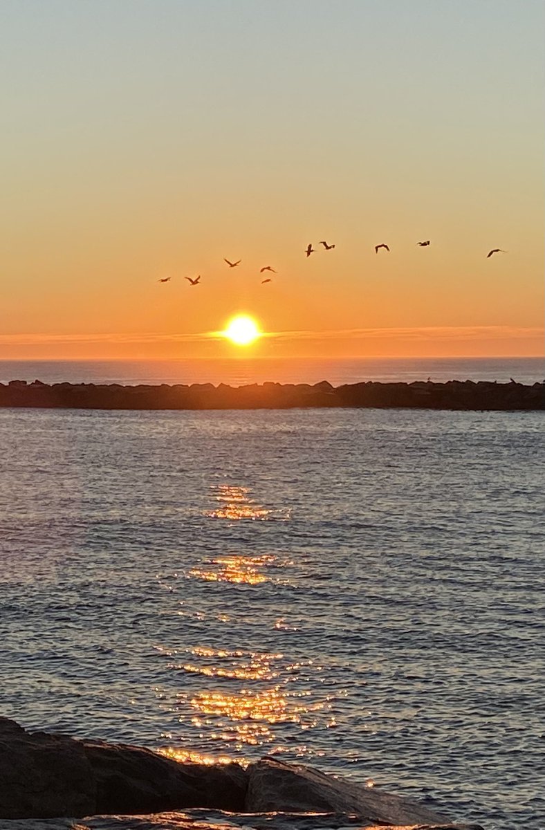 Robin Latchford tweet media