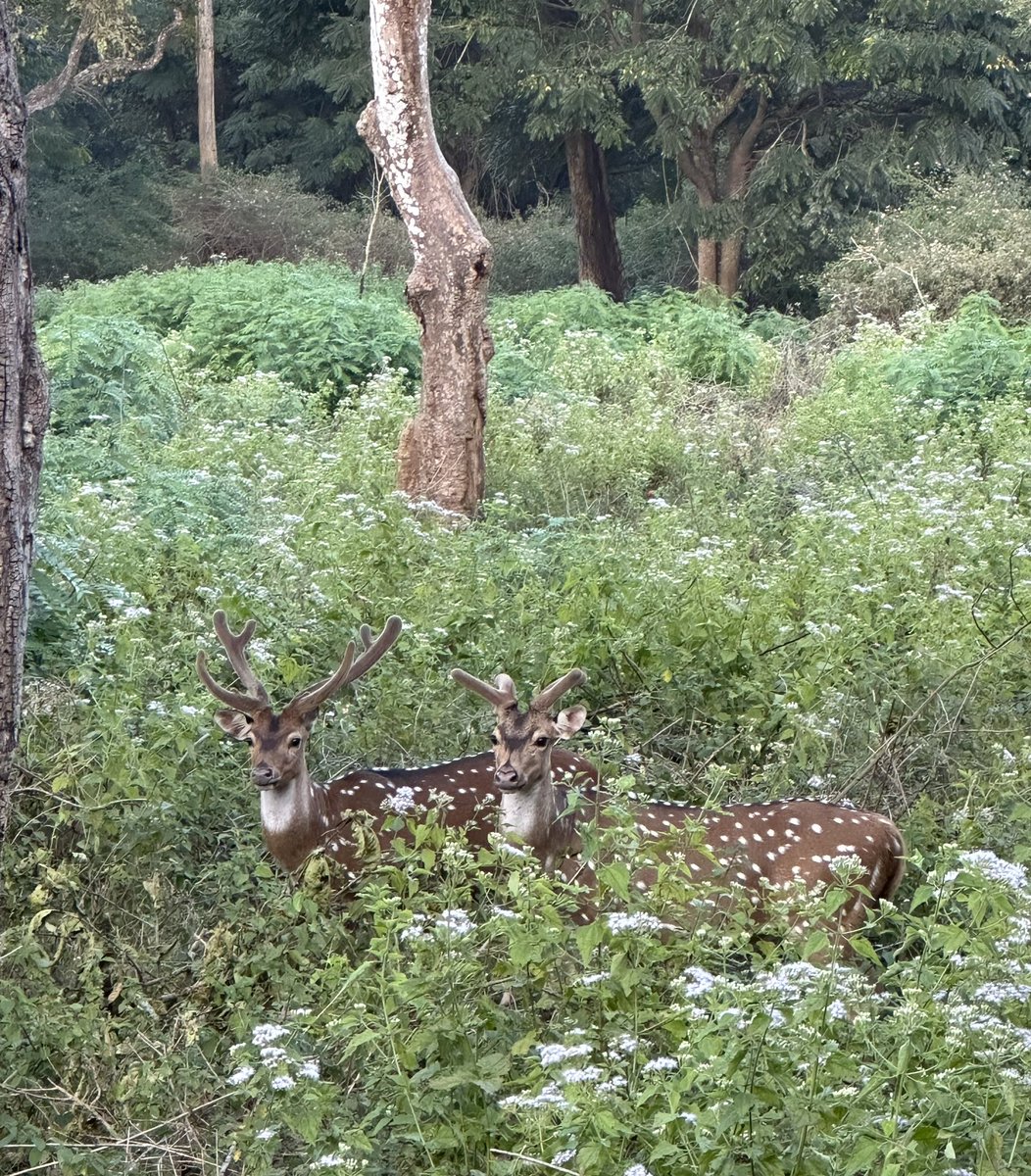 S Munigangaiah tweet media