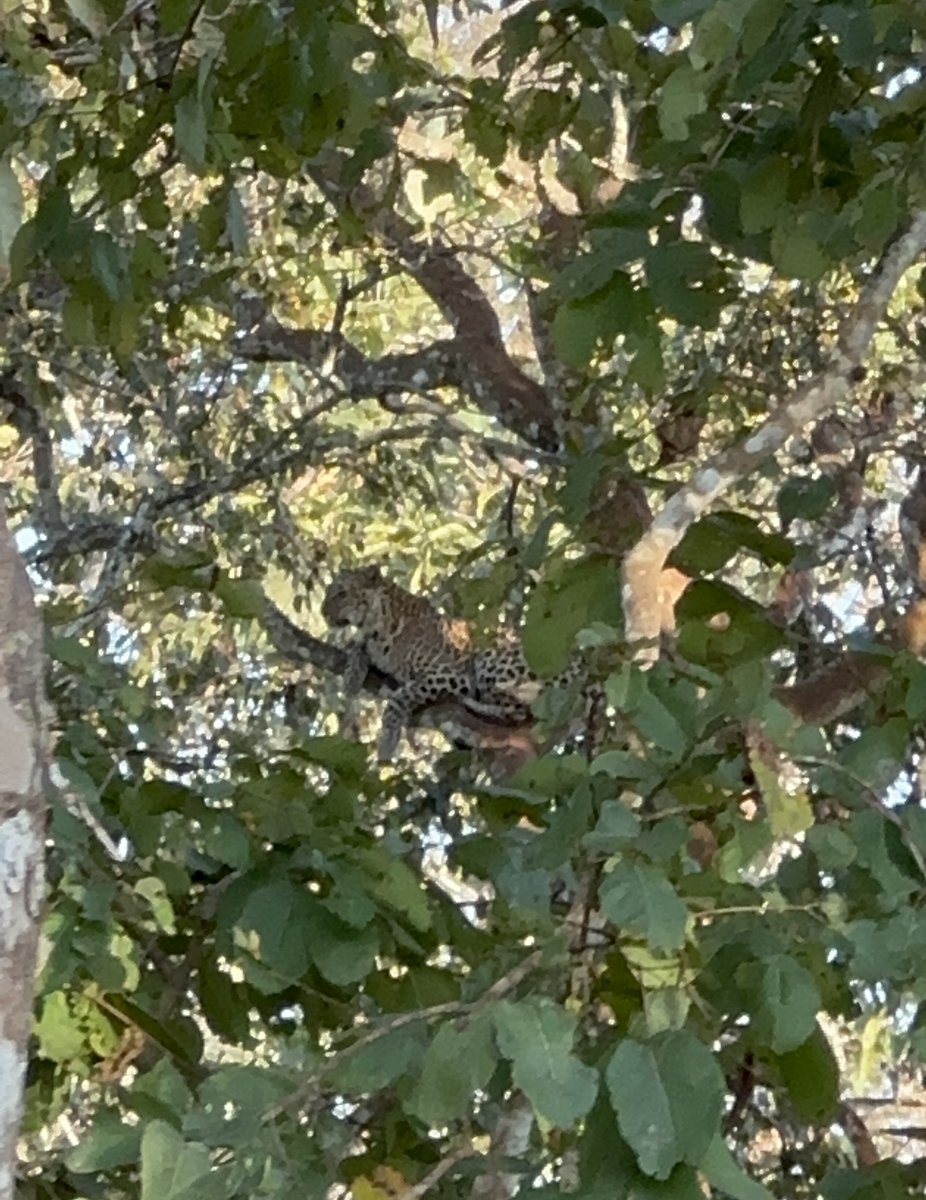 S Munigangaiah tweet media