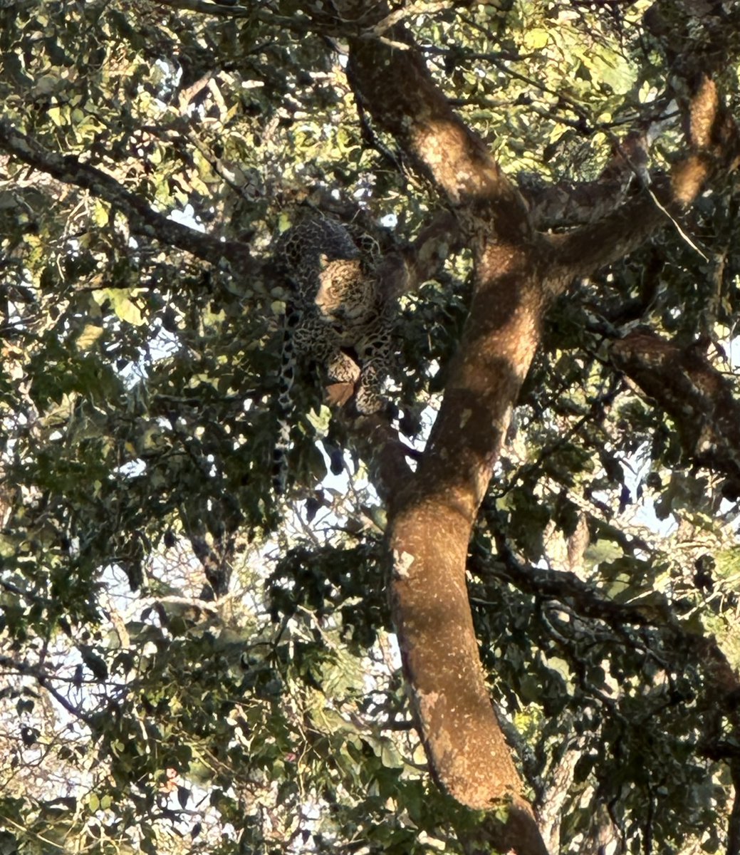 S Munigangaiah tweet media