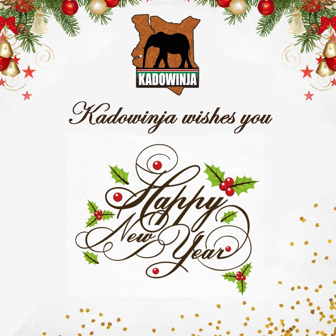Happy new year
