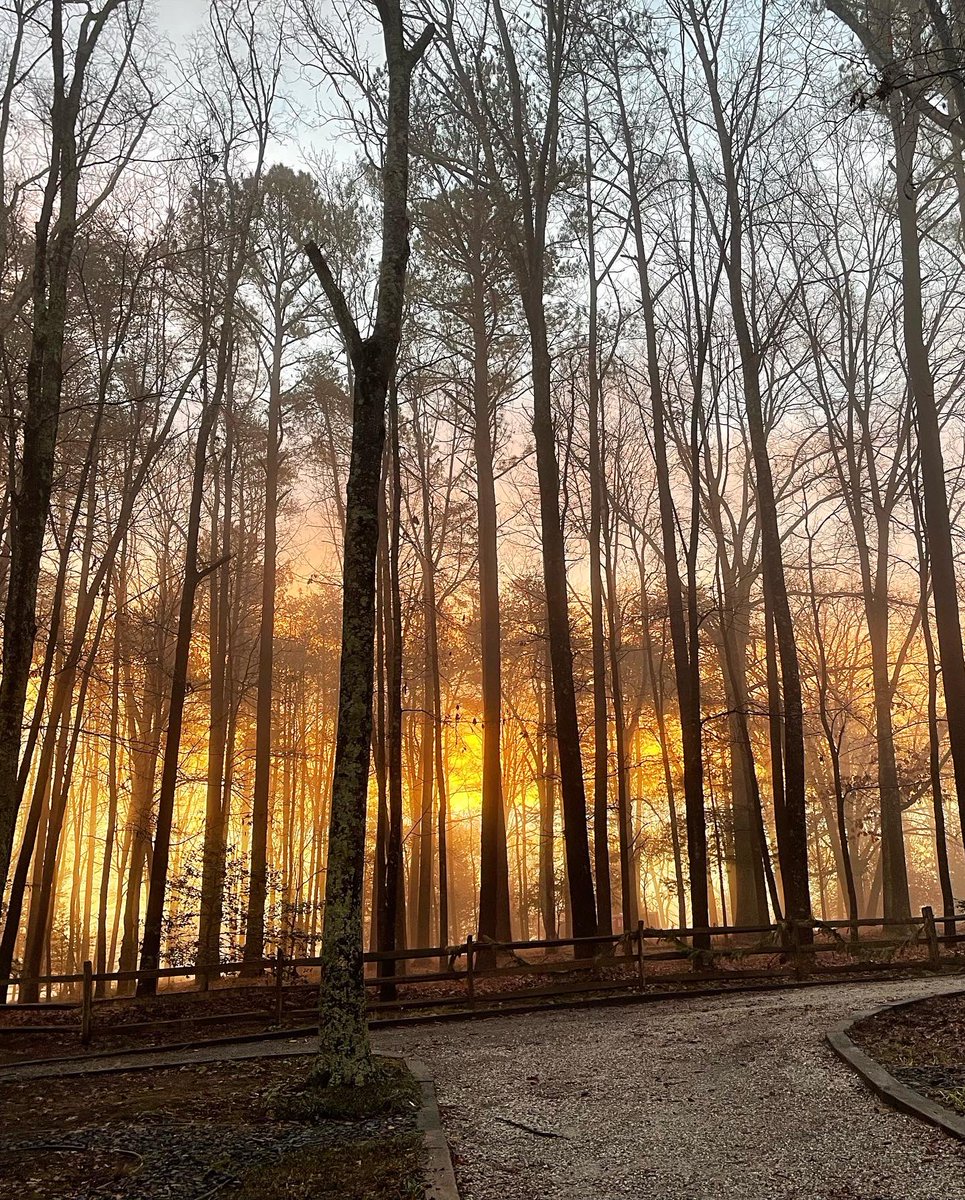 tracykmcguire's tweet photo. Happy New Year! Starting the morning 🫶🏻 headed to church. God’s blessings to all! #goochland #bigstart #january #psalm37four #houseinthewoods #goodbye2022 #HappyNewYear2023 https://t.co/O9K1BV2tkn
