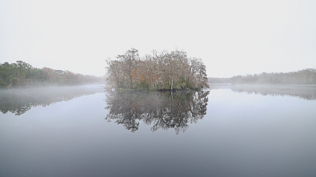 JimBaileyPhotos's tweet image. Yesterday's early morning photo at Dunn's Creek State Park. Florida State Parks #floridastateparks #floridastatepark #palatka #stjohnsriver #landscapephotography #naturephotography