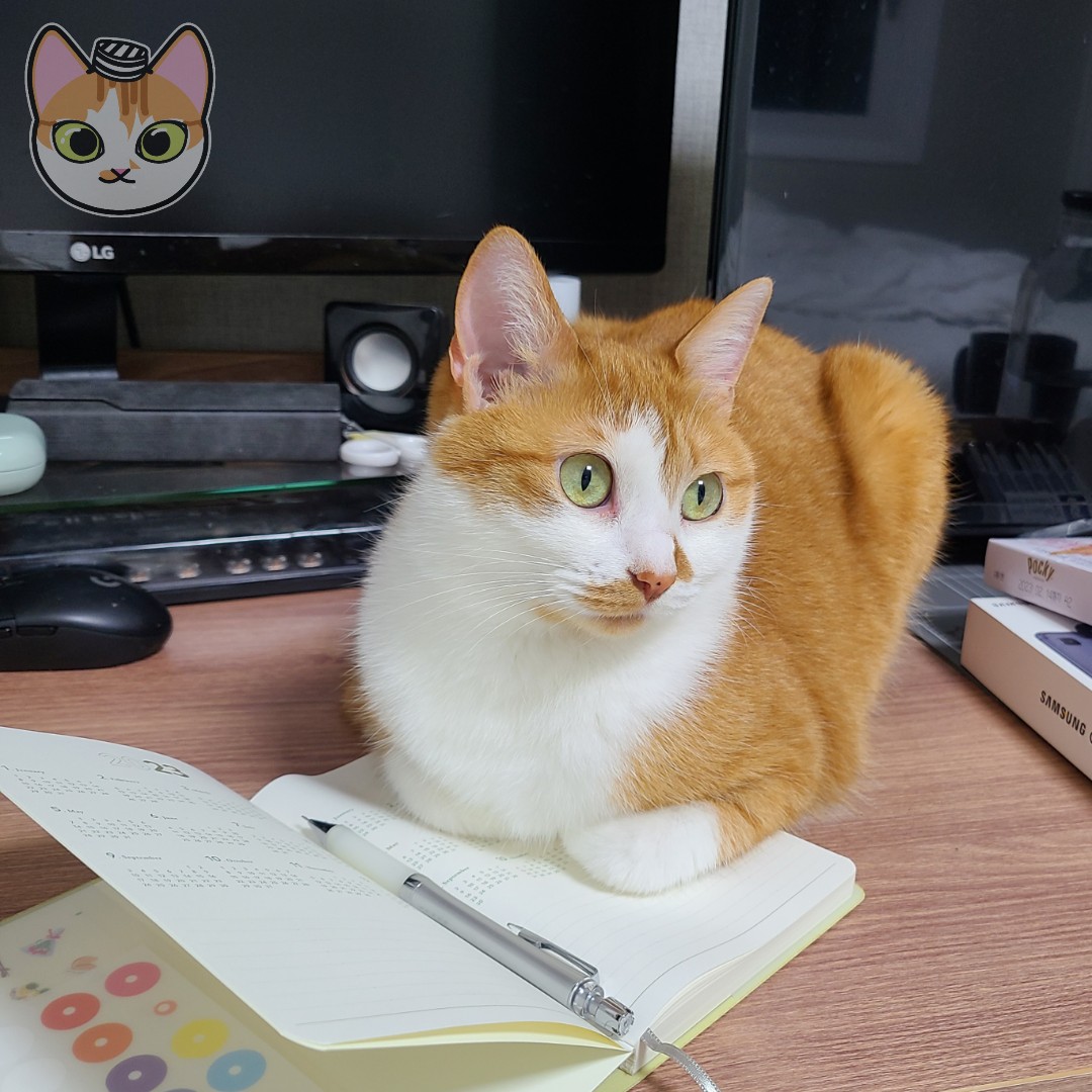 새해 첫 다이어리 작성을 위해 펼쳤건만