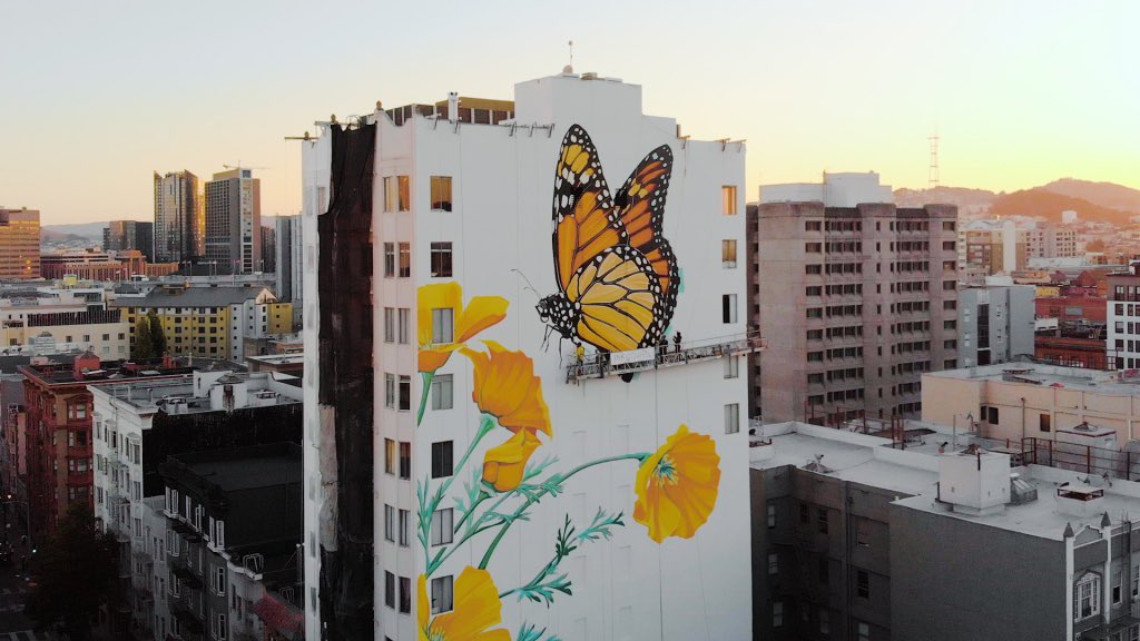 aHEMandias's tweet photo. @jamiedsongs It’s at 455 Eddy St. If you do check it out, walk around the corner to 455 Hyde St. & take a look at the giant monarch butterfly mural wrapping 3 sides of building. Designed by Dwell studio (Jane Kim and Thayer Walker).
— Tenderloin SF #art
—— #ahemART
https://t.co/DTPHrrGSBc https://t.co/JGOSsH8sWe