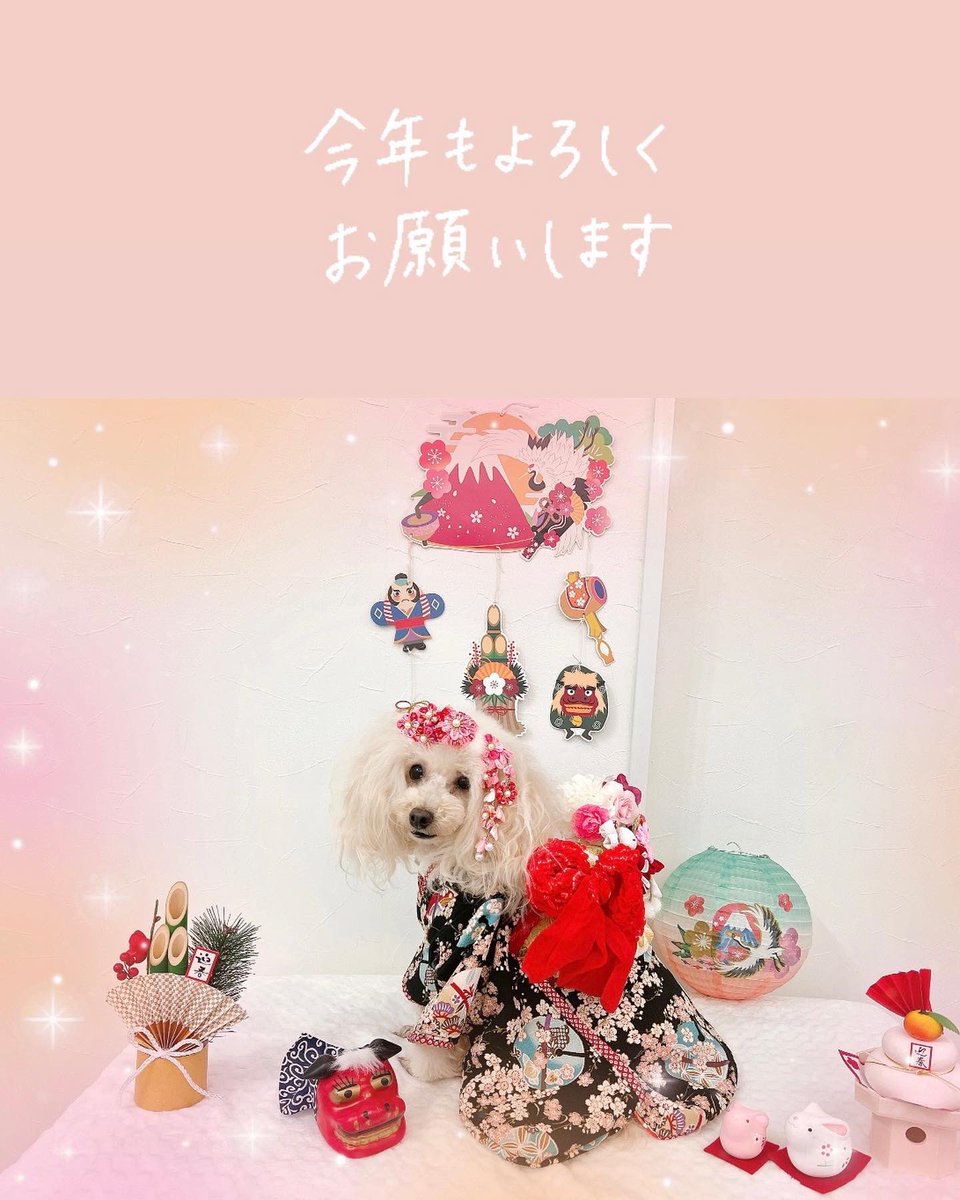 MocoRonRose's tweet photo. 明けましておめでとうございます🎍
今年もマイペース(꜆꜄꜆^._.^)꜆꜄꜆ですが宜しくお願いします。
わんこお節は市販のではなくいつものトッピングの🍠ｺｹｯ🐔ササミ🍎生馬肉🐴です。
みーんなの大好物💓💞 https://t.co/qnVU9FWYoK