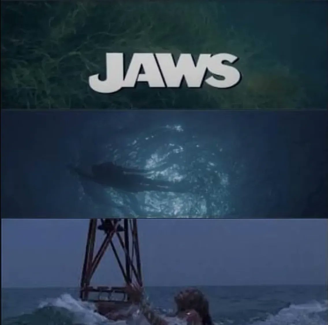 thedailyjaws's tweet photo. Everything has a beginning...
#SheWasTheFirst #JanuaryFirst #NewYearsDay #Jaws https://t.co/ufZEMQrkZv