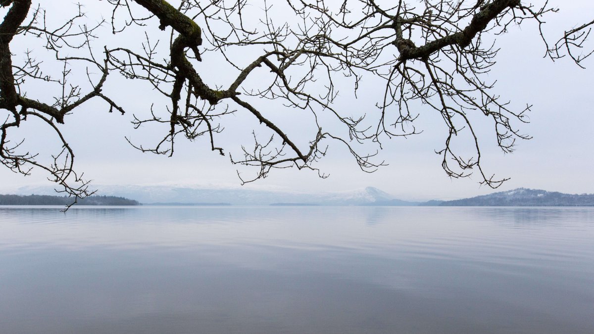 Discover Loch Lomond this winter and save on longer breaks at Cameron Lodges ❄️

Book a three, four or seven night break this winter and receive one night’s accommodation with our compliments: bit.ly/3rz1mVQ