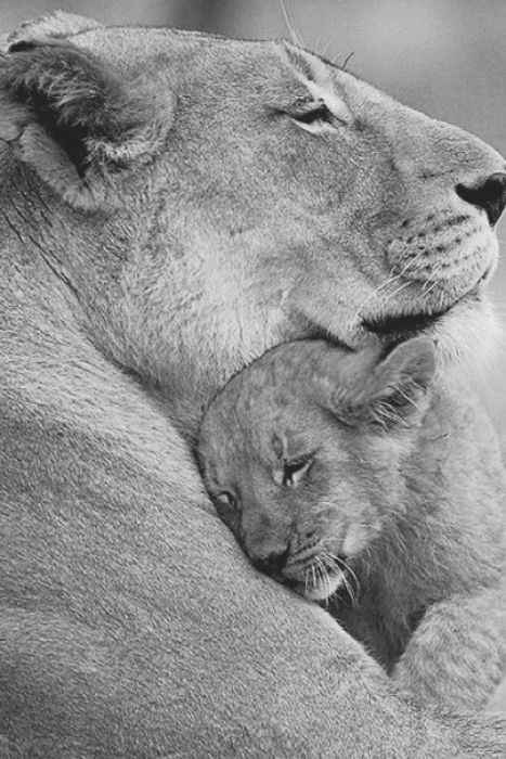 Sublime #photo pétrie de #tendresse pour bien commencer l'année...
