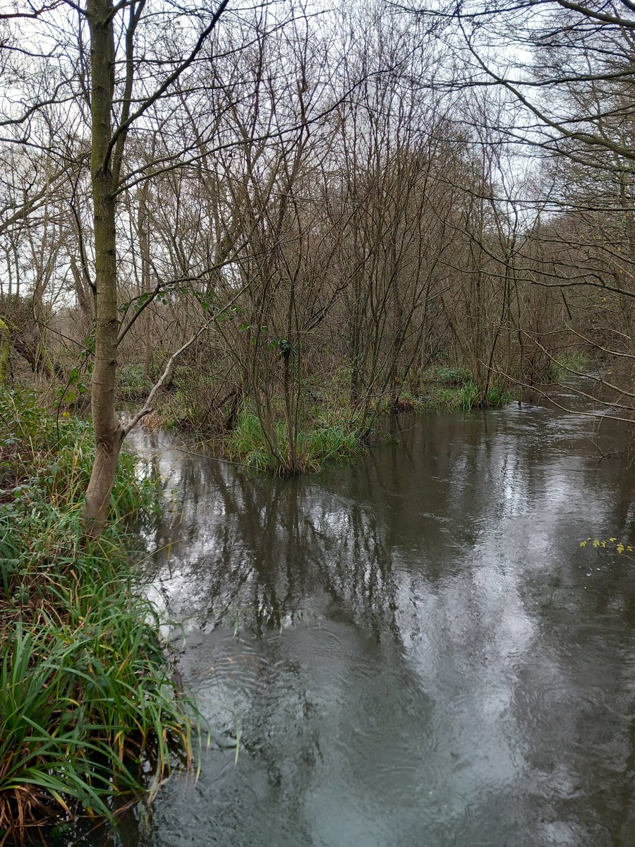PaulMat51794654's tweet photo. @KentWildlife
High Tide at Sevenoaks Wildlife Reserve. Kent ๐ฌ๐ง
January 2023
#RiverDarent
@ThePhotoHour https://t.co/nAhboLi125