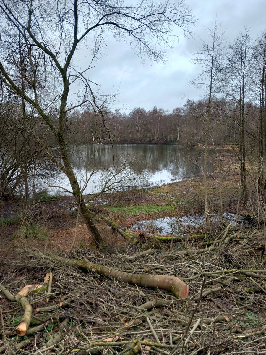 PaulMat51794654's tweet photo. @KentWildlife
High Tide at Sevenoaks Wildlife Reserve. Kent ๐ฌ๐ง
January 2023
#RiverDarent
@ThePhotoHour https://t.co/nAhboLi125