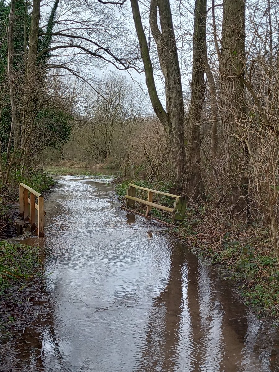 PaulMat51794654's tweet photo. @KentWildlife
High Tide at Sevenoaks Wildlife Reserve. Kent ๐ฌ๐ง
January 2023
#RiverDarent
@ThePhotoHour https://t.co/nAhboLi125