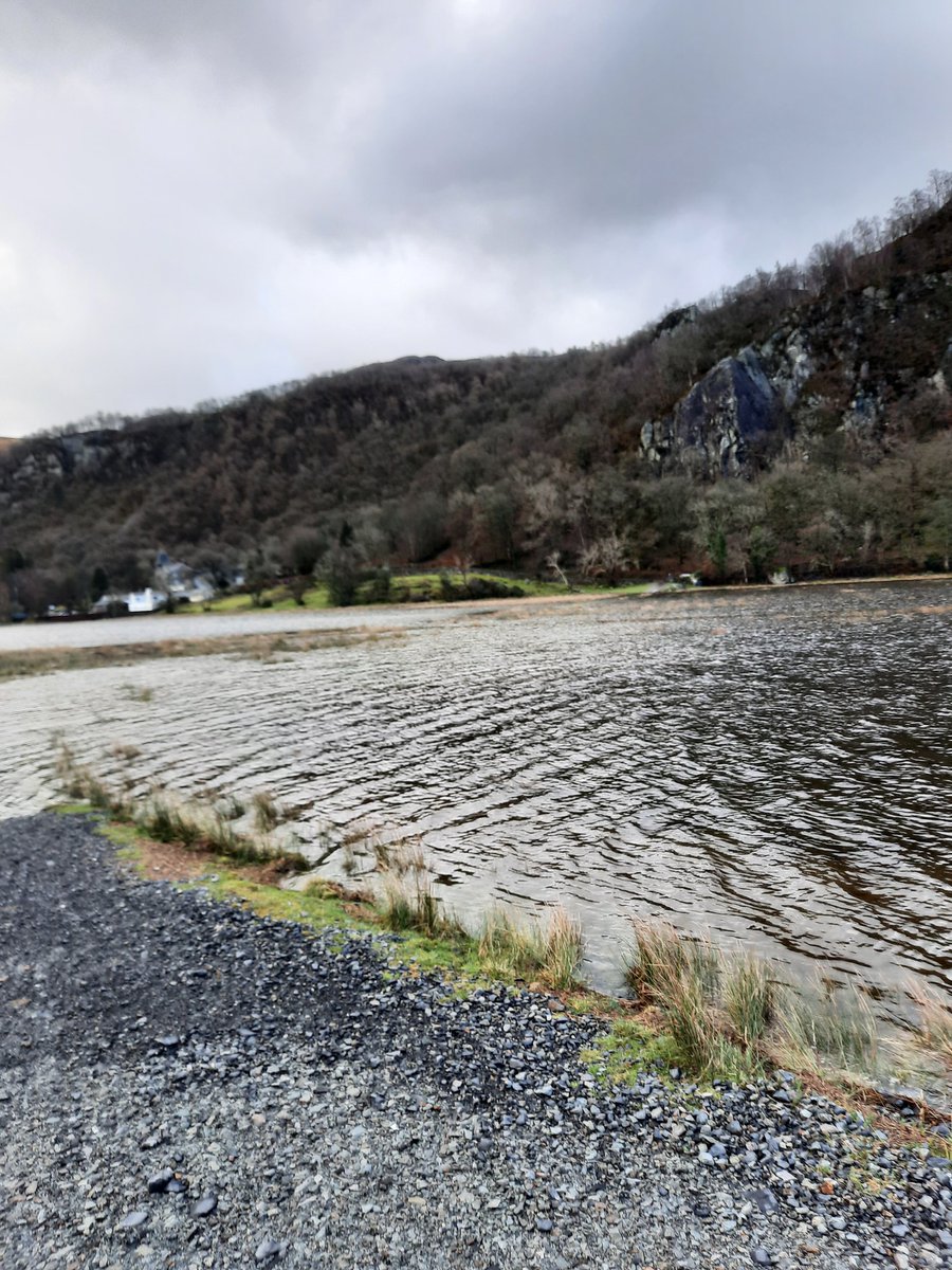NotBadForHerAge's tweet photo. Bit of a damp run around #Derwentwater this morning. The water levels were so high that the path at the south end of the lake was submerged with water coming over my knees-Damson was swimming! ππ»ββοΈππ»ββοΈπ #trailrunning #newyearsrun #runningdog #Damson #Dobermann #wetrun https://t.co/FZYTxnimU7