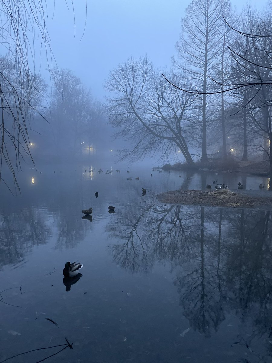 #CentralPark was so eerie, serene and beautiful on my last run of the year yesterday. A truly special place that I get to call my backyard. #grateful #NYC