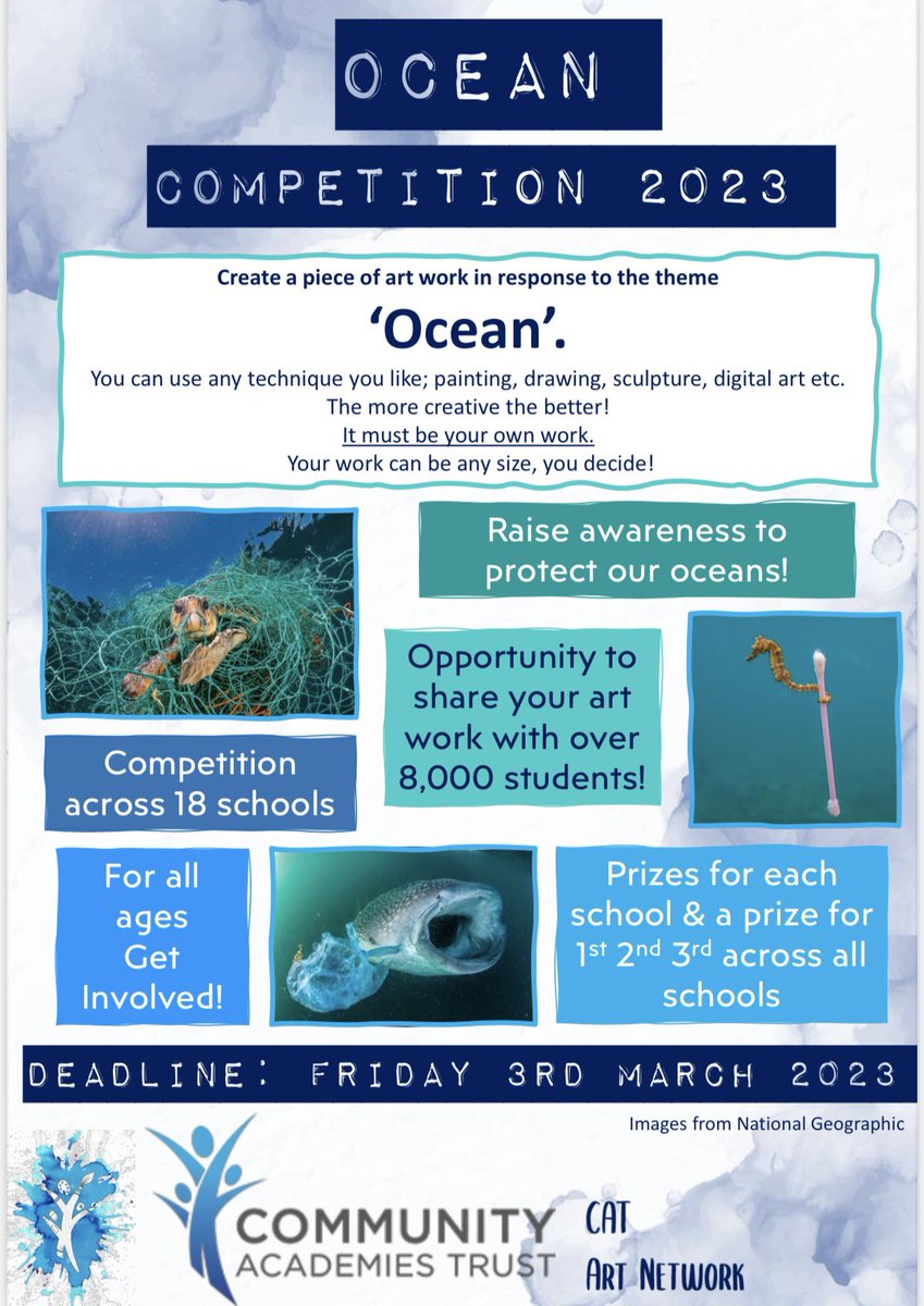 CAT Art Network tweet media