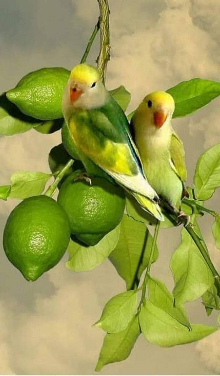 zxcvb00404's tweet photo. بعض الحب يجعل الشخص يتعجب من أنه يستحق كل هذه المشاعر الجميلة والعذبة https://t.co/AZcOhz0cTI