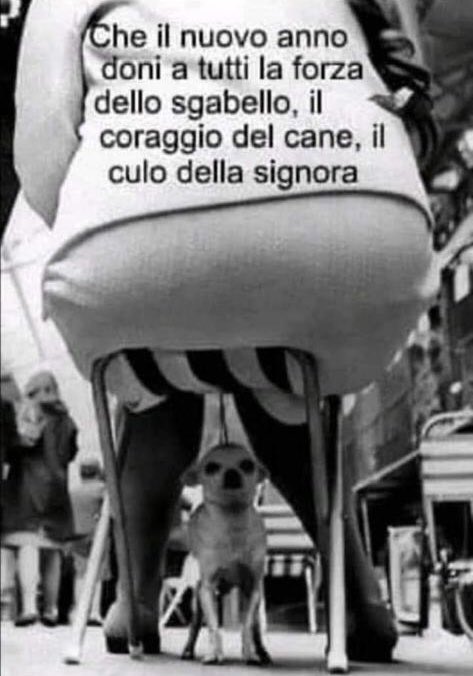 Buon anno a tutti! 😅🤣🤪 #animallovers #capodanno #annonuovo #2023 #auguri #feste #cane #coraggio #fortuna<a href="/tag/animallovers"class="tags">#animallovers</a><a href="/tag/capodanno"class="tags">#capodanno</a><a href="/tag/followme"class="tags"><span>#followme</span></a><a href="/tag/foryou"class="tags"><span>#foryou</span></a><a href="/tag/fortuna"class="tags"><span>#fortuna</span></a><a href="/tag/auguri"class="tags"><span>#auguri</span></a><a href="/tag/cane"class="tags"><span>#cane</span></a><a href="/tag/coraggio"class="tags"><span>#coraggio</span></a>