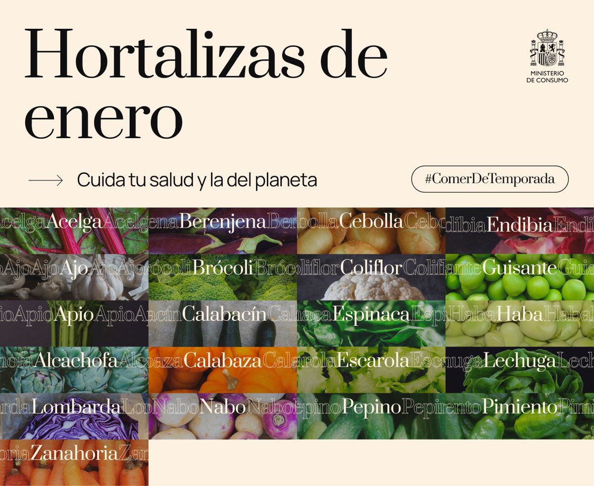 consumogob's tweet photo. Este 2023 empieza a #ComerDeTemporada alimentos que respetan el ciclo natural de crecimiento, esencial para consumirlos con todo su sabor y propiedades.

Si vas a hacer la compra, estas son las hortalizas imprescindibles en tus platos de #enero 🥒 🥦 https://t.co/6Whueu05k9