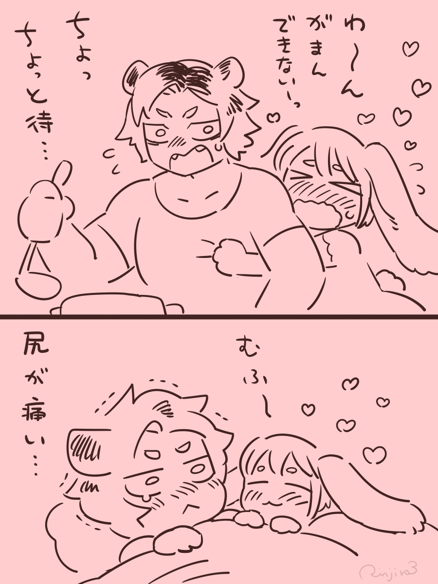 🐰×🐯 