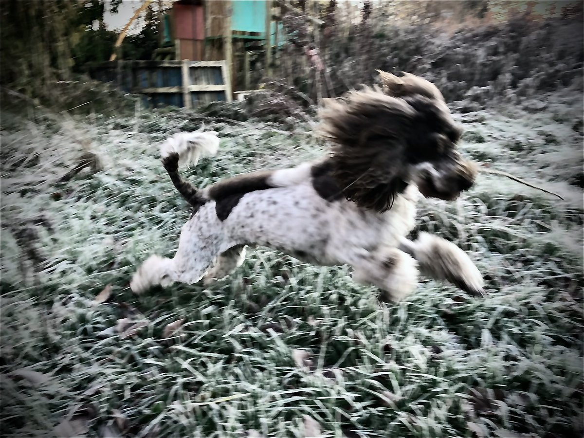 Leaping into 2023 like ⬇️ #AniAdventures