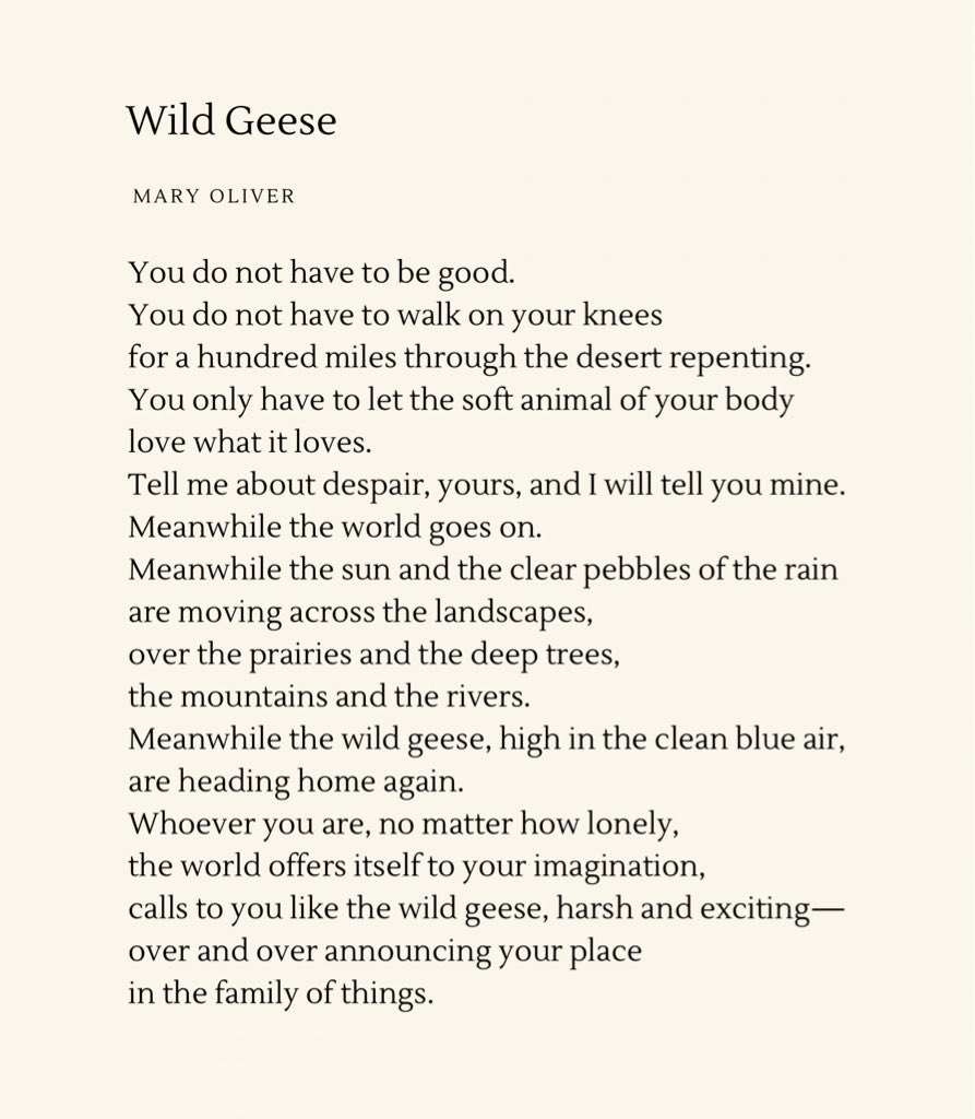 happy new year everyone! may this poem by mary oliver be a reminder for this year
