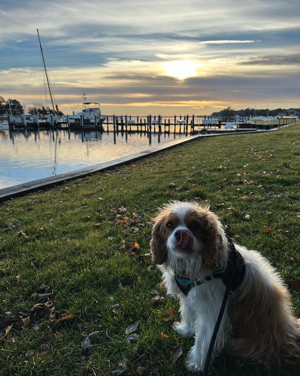 Wishing you a beautiful closure to 2022 and bright optimism for 2023! Happy New Year. #goodbye2022 #Welcome2023