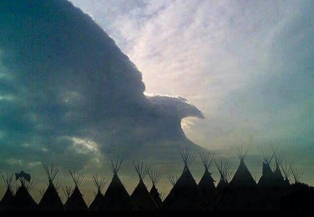 Native3rd's tweet photo. "May Your Wings Soar High Above The Madness Of The World! 

May 2023 Bring You And Your Families Many Good Blessings!”

Happy New Year!🙏🏽 🦅…🦬…✌🏾…🎊🪶✨🎉 https://t.co/bz9rVrXrvC