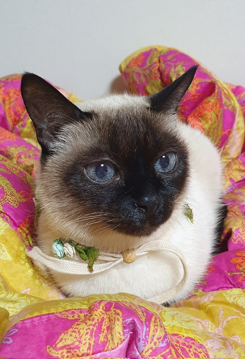 경축

밤비 스물 두 살