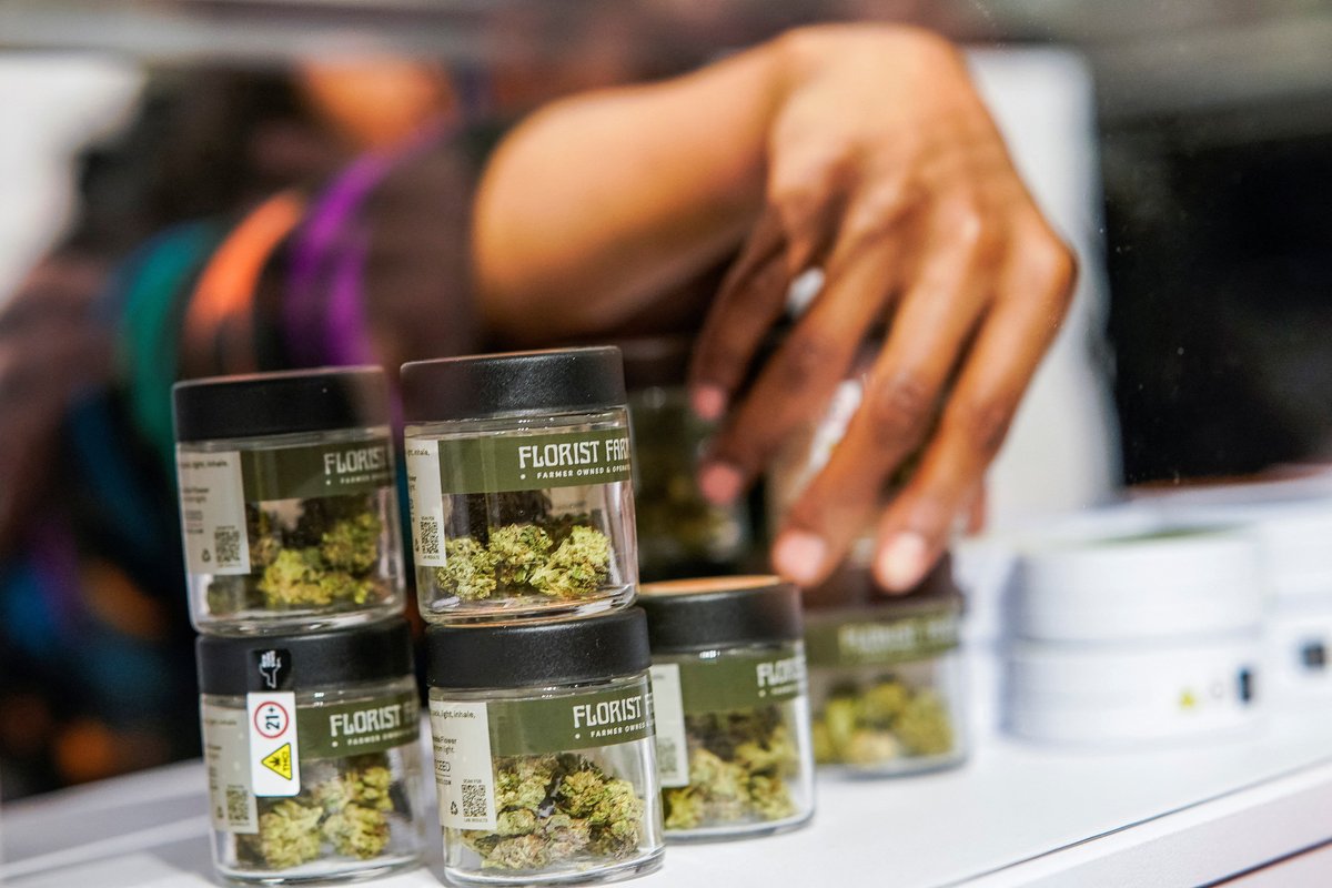 InteraccionNews's tweet photo. La primera tienda de marihuana legal en Nueva York abrió el jueves en el East Village. La misma fue inaugurada por Housing Works, una organización sin fines de lucro que lucha contra la indigencia y el SIDA. 🌱

#InteracciónDigital #Marihuana #NuevaYork #Cannabis https://t.co/J4yZfGOR1Y