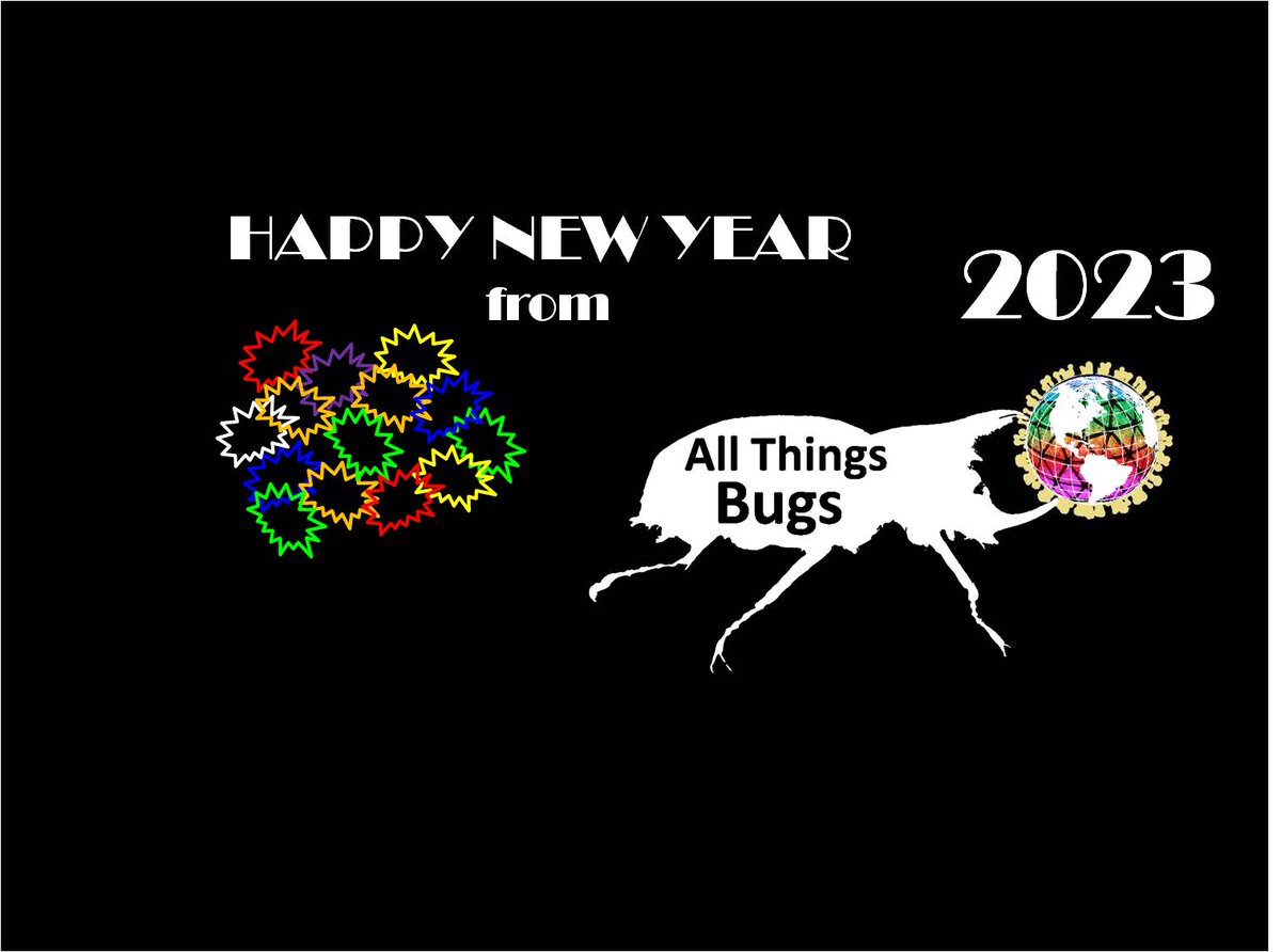 AllThingsBugs's tweet image. Wishing everyone an amazing, successful and happy 2023! ❤
allthingsbugs.com
Happy New Year !
#HappyNewYear #happynewyear2023 #NewYear #newyear2023 #nature #science #Protein #nutrition #food #foodie #sustainability #climatechange #goodbye2022 #SundayMorning #sundayvibes