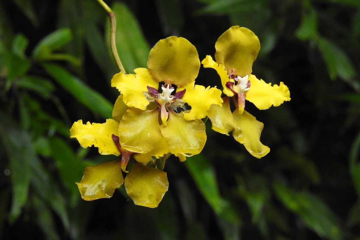 Grateful for every day in nature for every opportunity to enjoy and share life around inspiring destinations in #Ecuador and #SouthAmerica 

Thank you all for a lifetime in pristine biodiverse and remote habitats of our blue planet. Our best wishes for you and your loved ones!