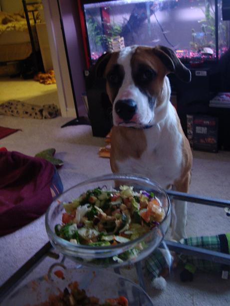 The best part about Near Years is definitely the food! #HappyNewYear #HappyNewYear2023 #NewYear2023