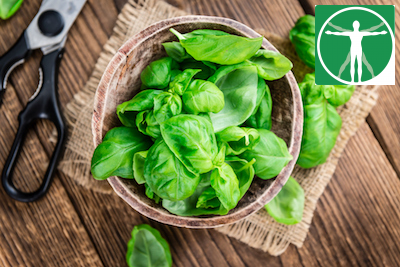 ColloidalCare's tweet photo. Credit: HandmadePicturesReviewed by Dr. Michael Kessler, DCWhat Is Basil (Ocimum basilicum)?Basil, also called Ocimum basilicumor Saint Josephs wort, is a common, leafy green herb that is part of the mint family. Native to tropi https://t.co/wHADvFoOJc https://t.co/KKNu8q90wu