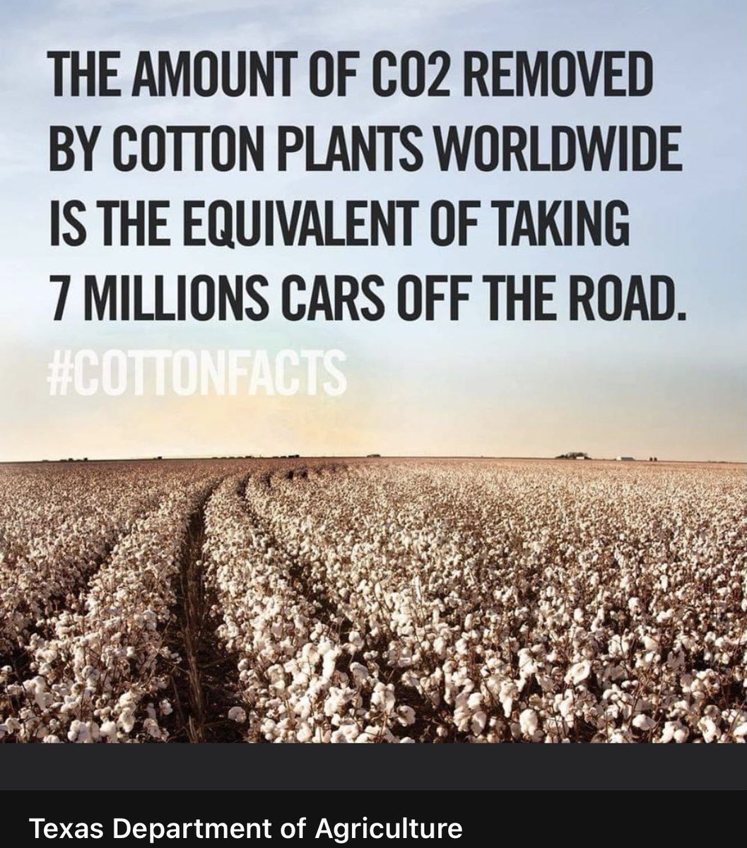 Jenny Sauer-Schmidgall (@thewittyfarmer) on Twitter photo 