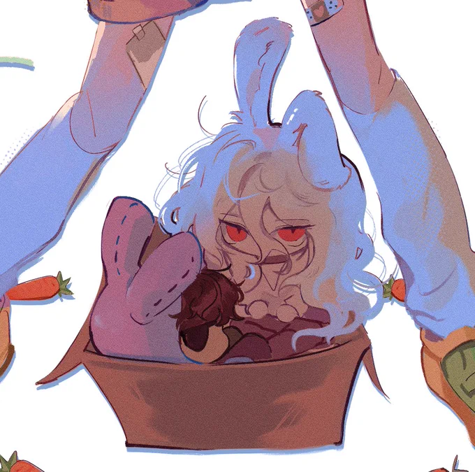 close up of my bunny boys :D 
