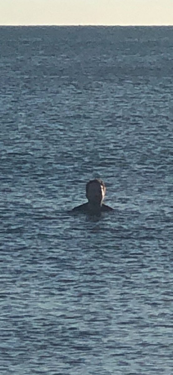 Manny Homem tweet media