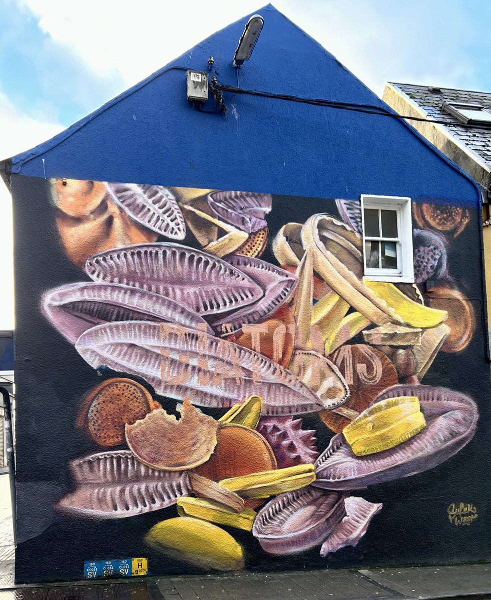 A diatom mural suddenly appeared on the gable end of a house in Galway Cit y. Wonderful.