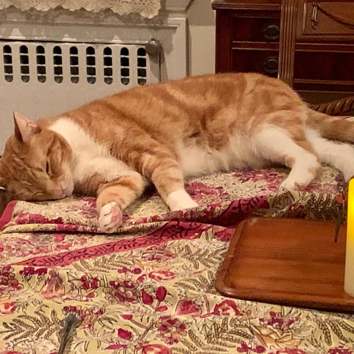 One of these years I’m gonna make it to midnight on NYE.