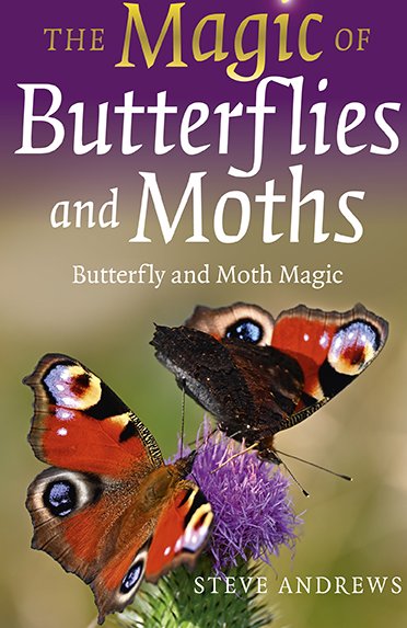 bardofely's tweet image. Very happy to see my next book The Magic of Butterflies and Moths is already online with details and endorsements! Check it out and preorder here: johnhuntpublishing.com/moon-books/our… #butterflies #moths #NewBook