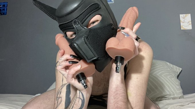 Puppy wish you a happy new year too ??
#puppyplay #petplaycommunity #puppy #frenchpuppy #frenchpetplay